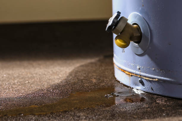 Best Sewage cleanup and water damage restoration  in Shadow Lake, WA