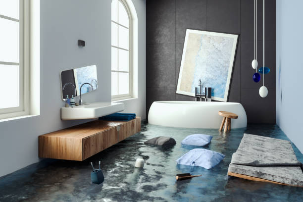 Best Professional water damage repair  in Shadow Lake, WA