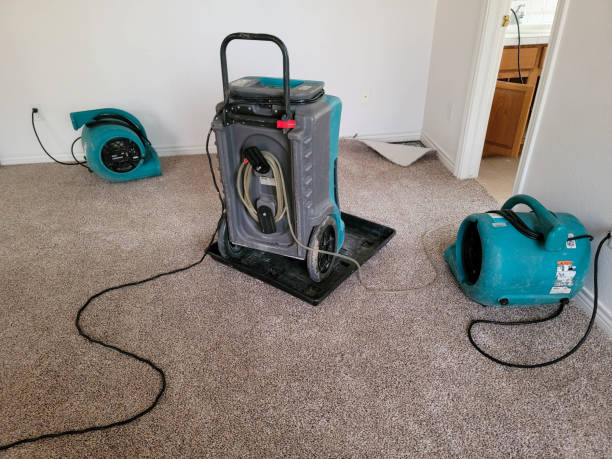 Best Water damage restoration process  in Shadow Lake, WA