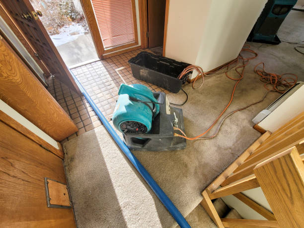 Best Basement water damage restoration  in Shadow Lake, WA