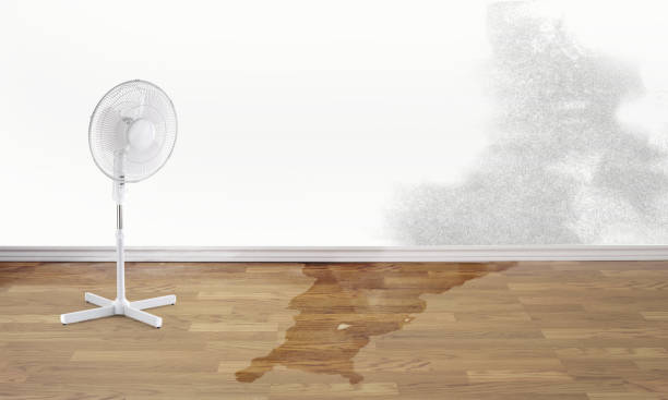Best Commercial water damage restoration  in Shadow Lake, WA