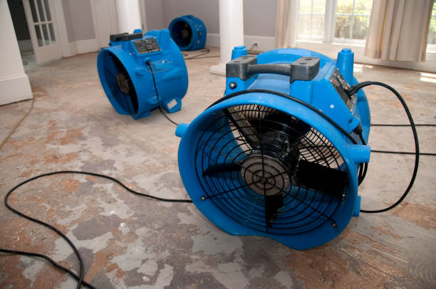Water damage restoration mold remediation in Shadow Lake, WA