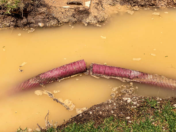 Trusted Shadow Lake, WA Water damage restoration Experts