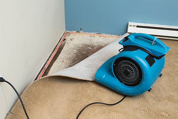 Best Water damage restoration near me  in Shadow Lake, WA